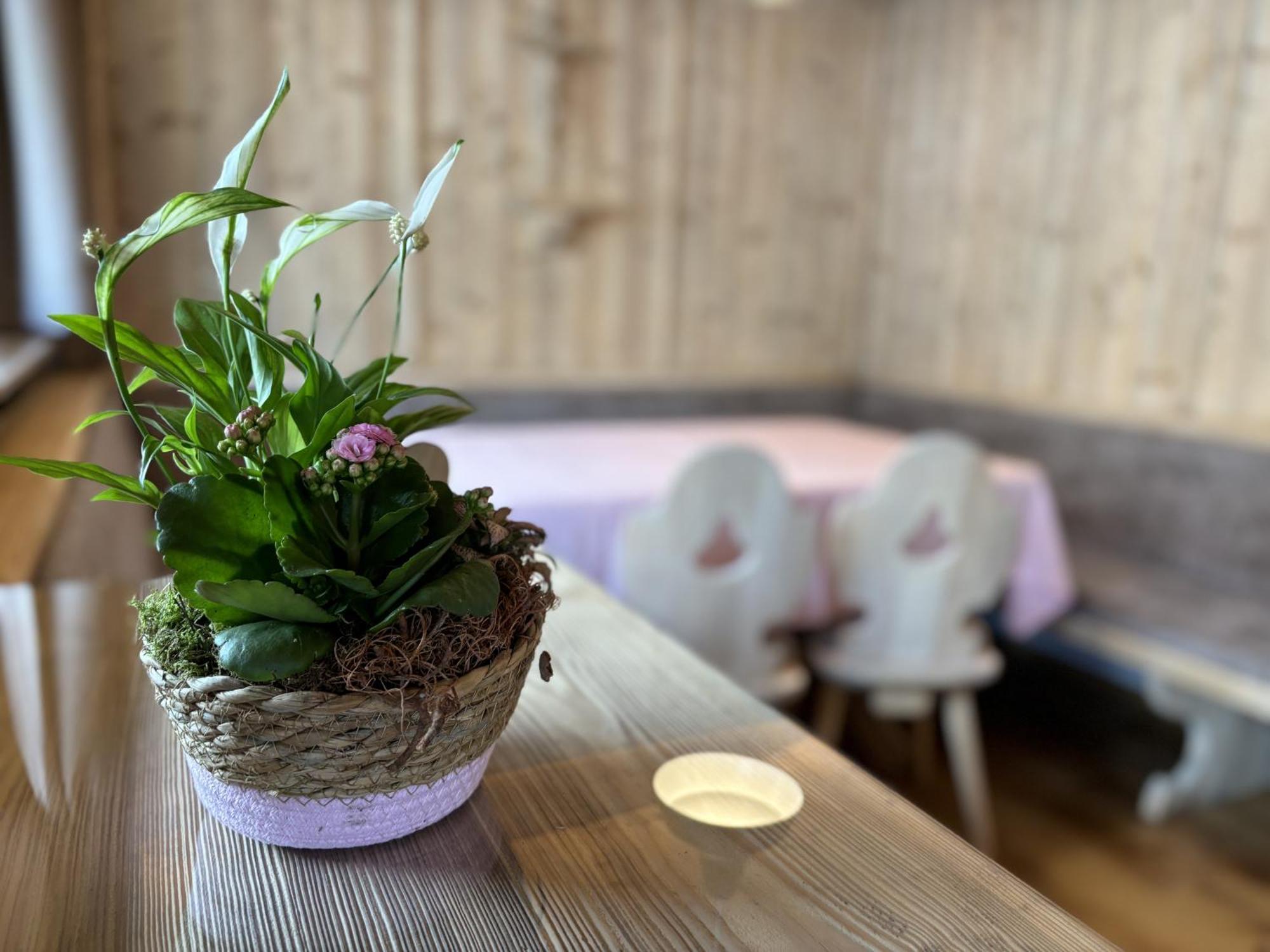 Appartement Rosa Sankt Johann in Tirol Rom bilde