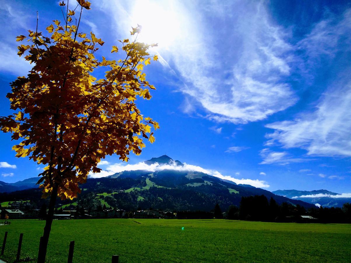 Appartement Rosa Sankt Johann in Tirol Eksteriør bilde